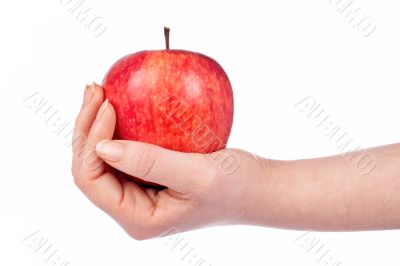 Holding a red apple