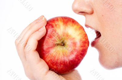 Just to eat