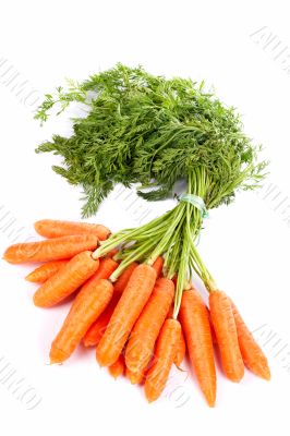 Bunch of fresh carrots