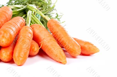Bunch of carrots