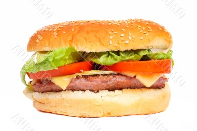 Cheese burger