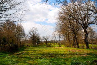 landscape