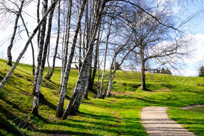landscape