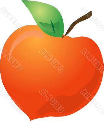 Peach sketch