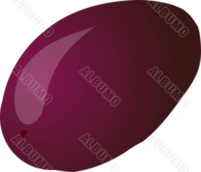 Plum sketch
