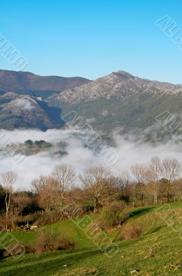 Landscape in the early morning fog
