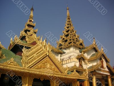 Shwedagong pagoda