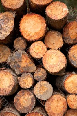 Logs stacked background