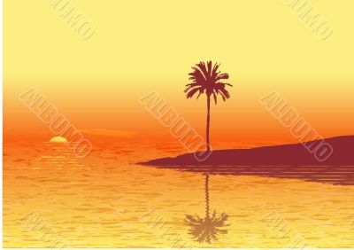 Red sunset