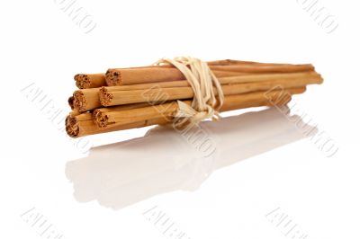 Sticks of cinnamon