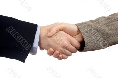 Business handshake
