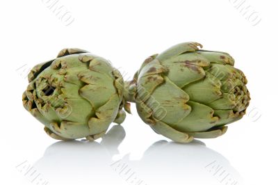 Two fresh and tasty artichokes