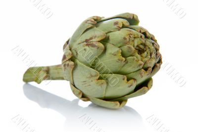 Fresh and tasty artichoke