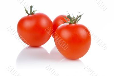 Fresh and tasty tomatoes