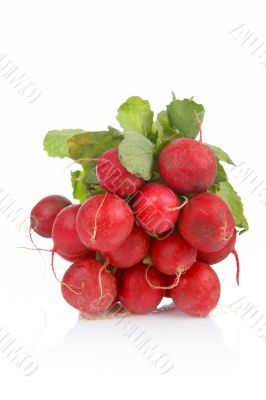 Bunch of radish