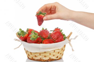 Takes a strawberry of the basket