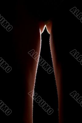 crotch