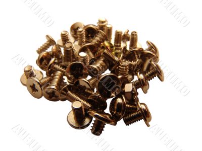 Screw 2