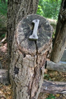 Wood One