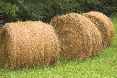 Hay Bales