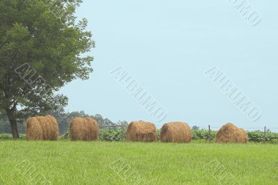 Hay Bales