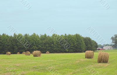 Hay Bales