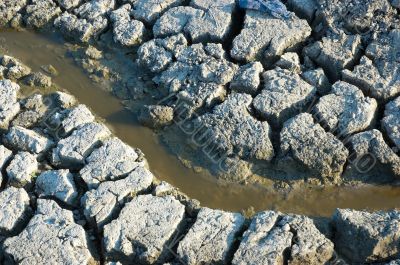 muddy spring on dried dirt