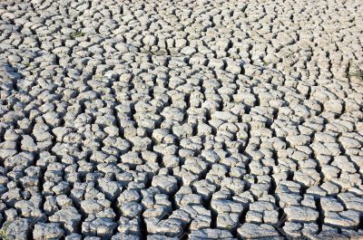 cracked dried ground