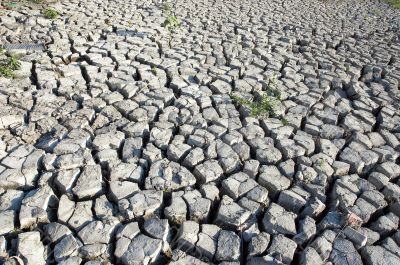cracked dried ground
