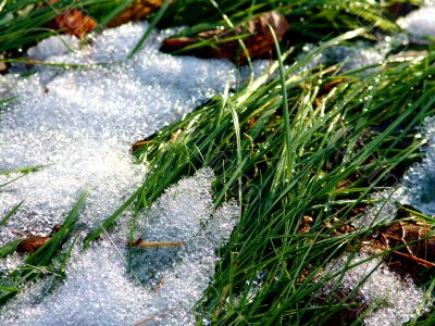 Snow on grass