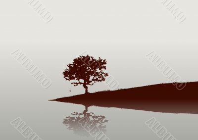 Reflections