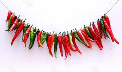 Red hot chilli peppers