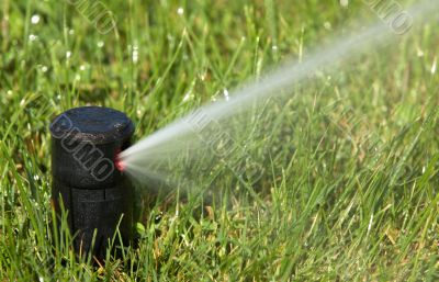 sprinkler watering