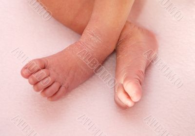 Baby toes