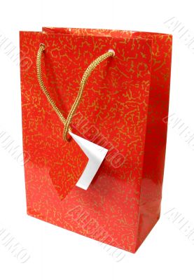 Shopping bag - 2
