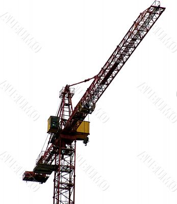 Crane isolated