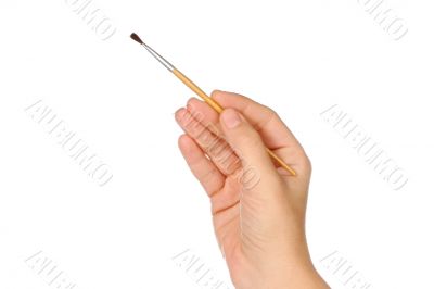 hand and brush