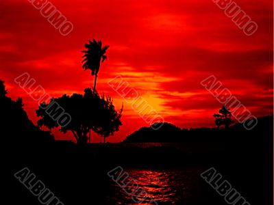 brilliant sunset silhouette