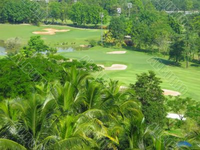 lovely golf course greenery