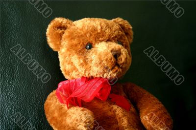 Teddy