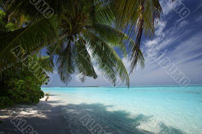 palmtrees and turquoise lagoon