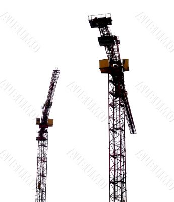Cranes