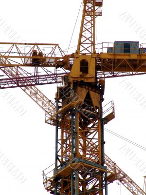 Cranes 2