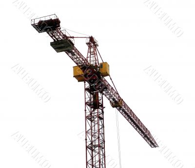Crane 3