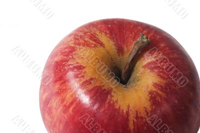 red apple close up