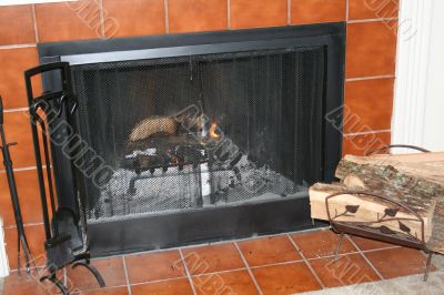 Fireplace and Utensils