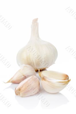 Garlic and cloves