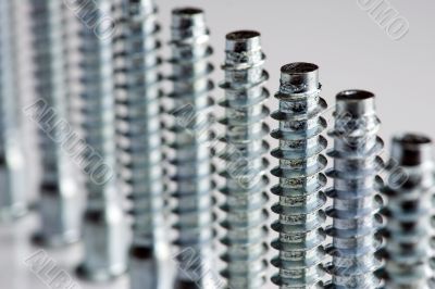 screws