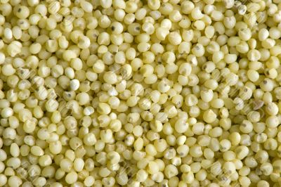 Millet