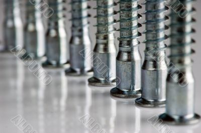 screws